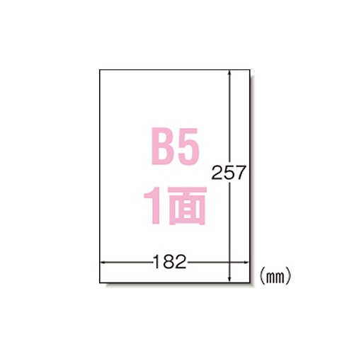 エーワン(A-one) ラベルシール プリンタ兼用 B5 ノーカット 入数：1パック(100シート) 28421(36324) Label sticker used printer