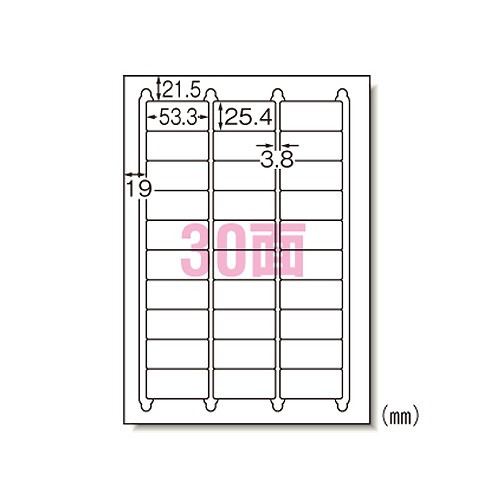 エーワン(A-one) ラベルシール プリンタ兼用 A4 30面 入数：1パック(100入) 28455(09070) Label sticker used printer
