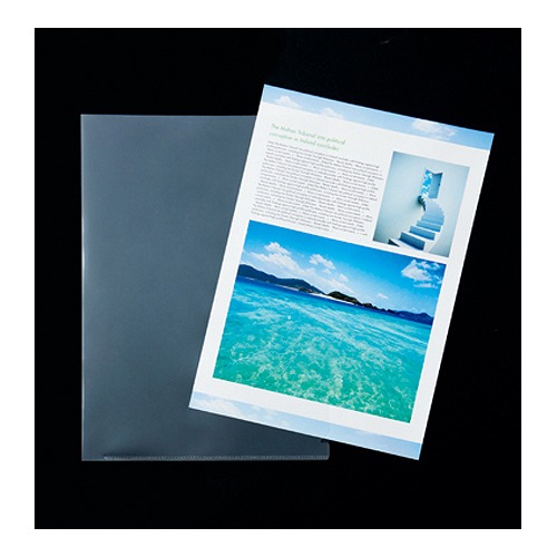 山口工業 クリアホルダー ハイクリスタル A4 入数:1パック(100枚) YG-110-100HC(R)(52841) clear holder