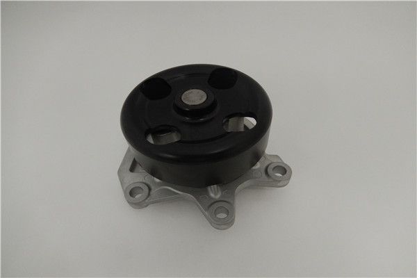 GMB ウォーターポンプ DACIA ダスター water pump