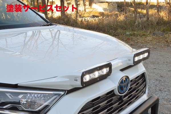 カラー番号をご指定下さいアヴァンツァーレRAV4 MXAA54/AXAH54 2WAY LEDライティングキット（ワークライト/イルミネーションランプ）｜オートパーツ ダイレクト