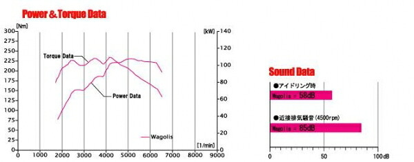 フジツボ フジツボ FUJITSUBO マフラー Wagolis (ウィッシュ ANE11W ウィッシュ Z 2.0 2WD 後期 (H17.09～H21.04 DBA-ANE11W 1AZ-FSE) ) 96×91φラウンドオーバルスラッシュ