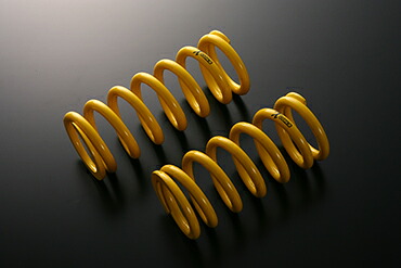 エンドレスX COILS Z33.34/V35.36 リア専用形状スプリング 内径ID98mm 自由長205mm レート12kg/mm 密着長93mm 有効ストローク90mm １本｜オートパーツ ダイレクト