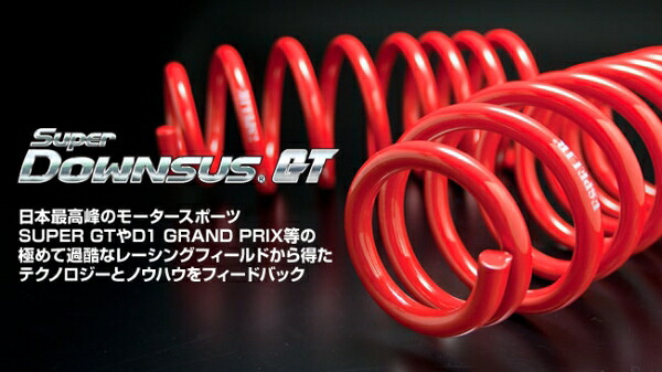 エスペリア パルサー スーパーダウンサス GT RNN14 SR20DET H2/8-7/1 赤色 4WD ターボ GTI-R フロント