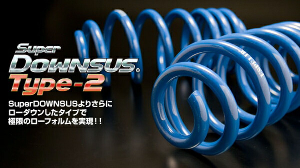 エスペリア ハイエースワゴン スーパーダウンサス タイプ2 KZH106W 1KZ-TE H8/8-16/8 4WD ディーゼルターボ/スーパーカスタムリミテッド トリプルムーンルーフ セット