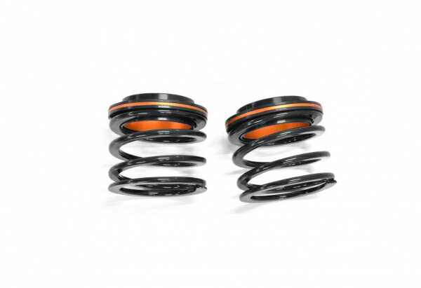 楽天市場】T-DEMAND【PRODAMPER】ヘルパースプリングH60-H20 GL/BK2本