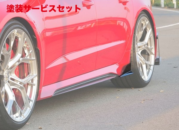 当社塗装品 バランスイット ユニバーサル サイドフィン カーボン製