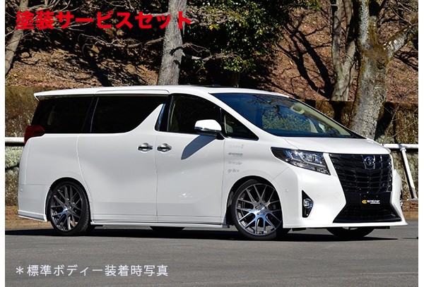 30 アルファード ヴェルファイア 標準グレード サイドスカート1台分セット 楽天市場】バックスクラッチャーアルファード/ヴェルファイア 30系