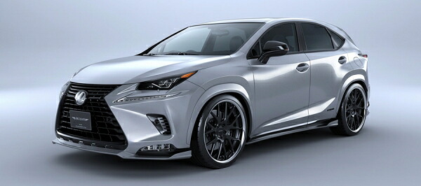 アーティシャンスピリッツLEXUS NX 300 AGZ1＃ 後期 BLACK LABEL 5ピースキット(標準バンパー用) カーボン+FRP製【個人宅発送不可】｜オートパーツ ダイレクト