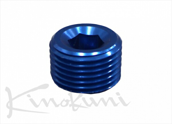 キノクニ キノクニ Kinokuni アダプター プラグ ヘックスメスタイプ NPT1/16オス(2Qty)