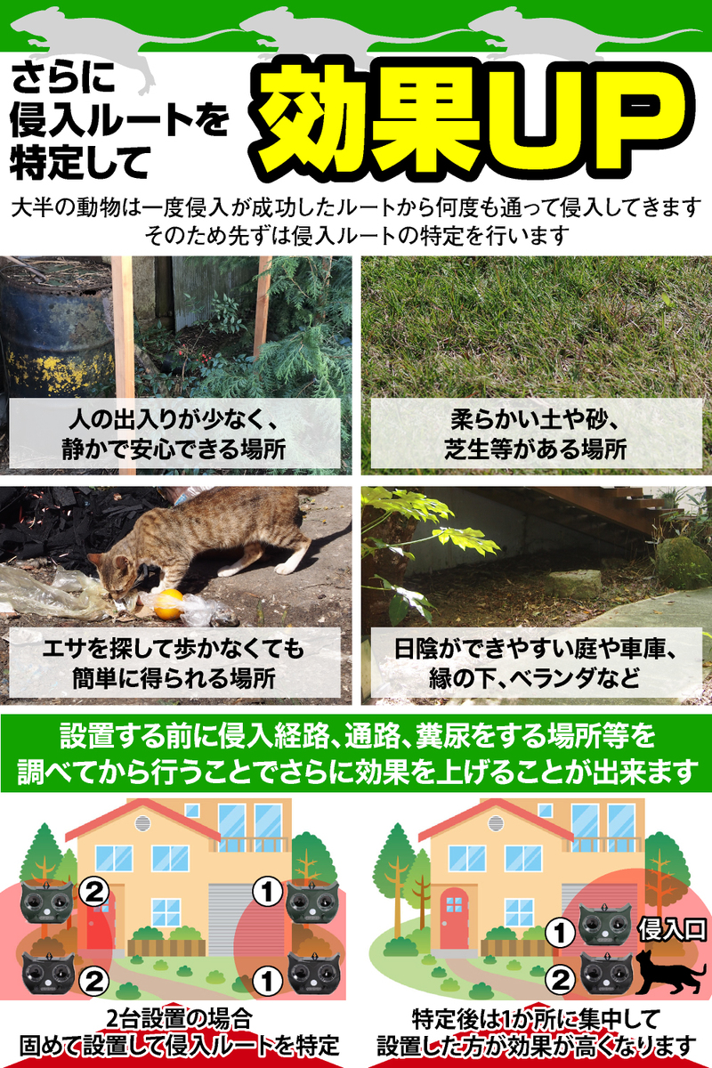 新機能アラーム音付き 2個セット 猫よけ 超音波 強力 猫対策 ねこよけ 音 猫避け 鳥よけ 超音波 ベランダ 鳥よけグッズ 鳩よけ カラスよけ 動物撃退器 鳥 糞 よけ ネコ避け 猫避け超音波 猫除け Rvcconst Com