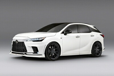 TALH17 LEXUS レクサス RX500h ドアパネル サイドモール083 TALH17 LEXUS レクサス RX500h ドアパネル サイドモール083