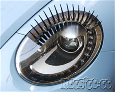 VW The Beetle カーラッシュ