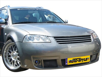 VW Passat 3BG Radiator Grille with Fins without Emblem