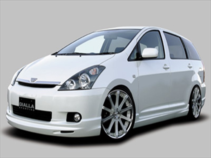 IPSUM 21 前期 SPORTIVO FRONT HALF SPOILER 塗装取付込 - www