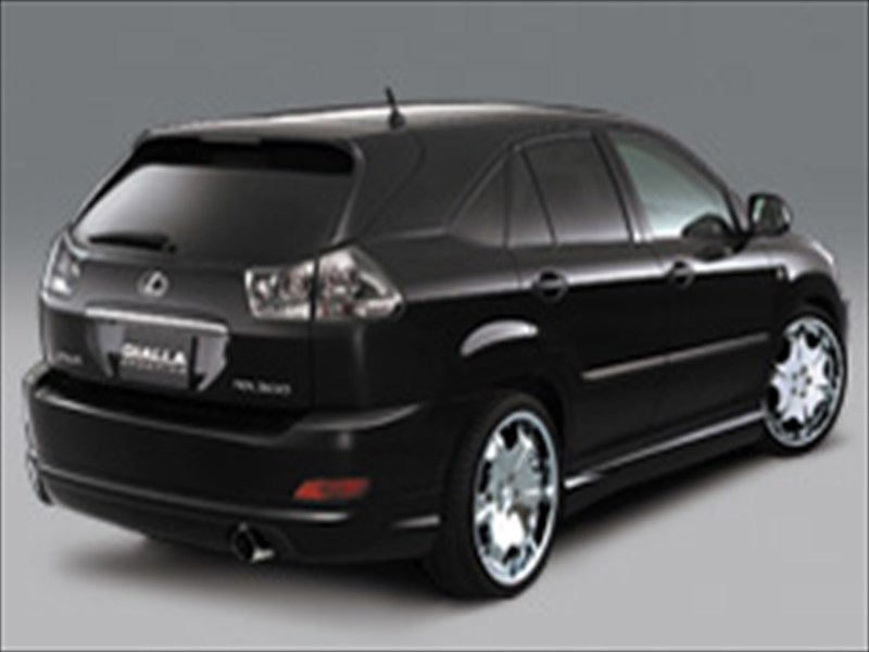MCU30 HARRIER SPORTIVO REAR HALF SPOILER 塗装済み|Autostyle