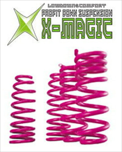 タント カスタム LA600S NA車 X-MAGIC ダウンサスリアのみ 2本