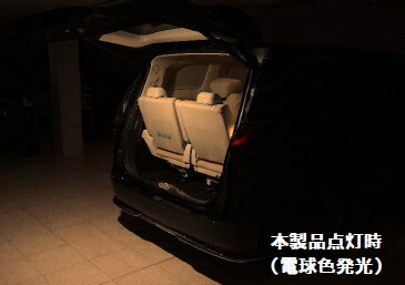 LM500h LEDIST カーゴランプ(パワーバックドアスイッチ装備車専用) パネル：ホワイト　LED：電球色