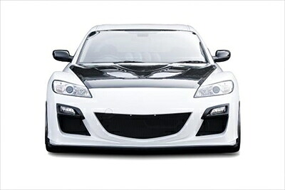 RX-8 SE3P 後期用 フロントバンパースポイラー TYPE-3 塗装取付込