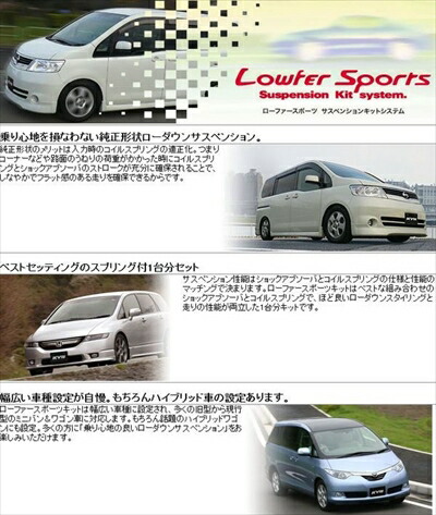 キューブZ10LowferSportsショックアブソーバー&L・H・Sスプリング1台分セット