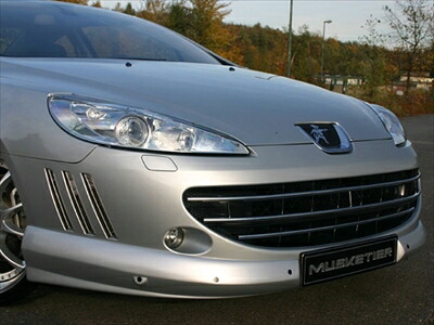 PEUGEOT 407 Coupe フロントスポイラー 塗装済 取付込