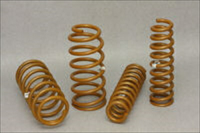 楽天市場】ランドクルーザー 200 タフドッグ リフトアップ コイル