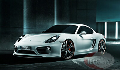 Porsche　981　Cayman　ミラーカバー 塗装済み
