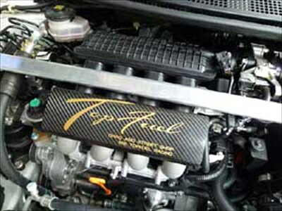 CR-Z ドライカーボンインマニカバー タワーバー対応サイズ ロゴカラーゴールド｜Autostyle