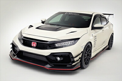 シビック TYPE R FK8 ARISING-II カーボン リップガード for F/バンパー 取付込