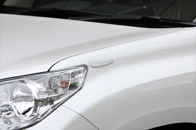 ランドクルーザー プラド 150系 中期 LUV LINE ミラーカバー 車検非対応｜Autostyle