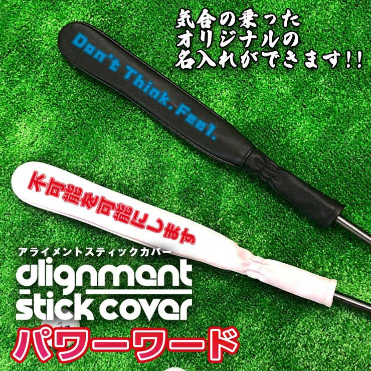 alignment_power_00.jpg
