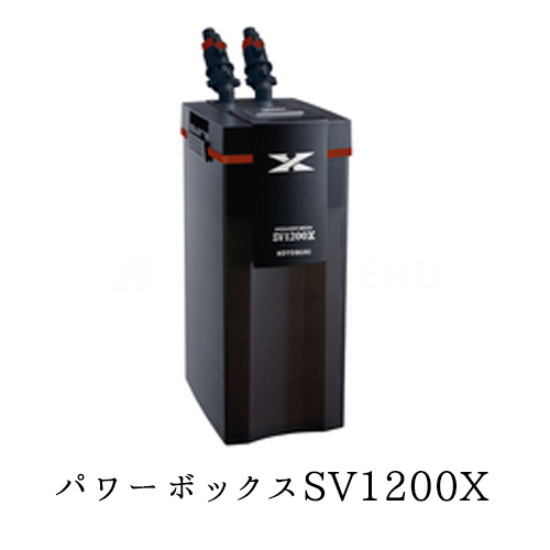 独創的 楽天市場 コトブキ パワーボックス Sv10x 水槽用外部フィルター Avaler 柔らかい Www Lexusoman Com