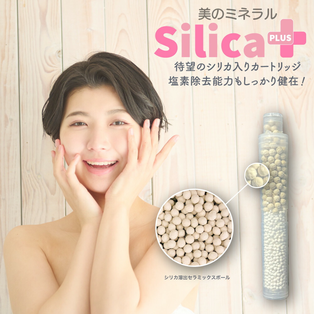 フリーサイエンス　シャワーヘッドカードリッジ５セット シャワーヘッド「SANEI」FB浄水ミストシャワーヘッド／SUIN