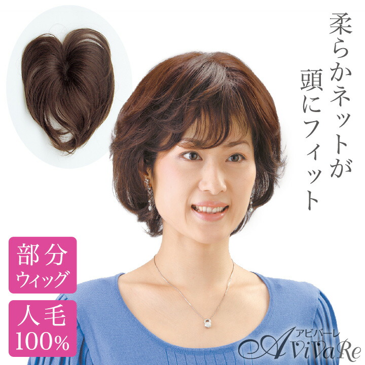 ソフトネットヘアピース（分け取りウィッグ）[Z0732] レディース ウィッグ 髪の毛天下太平 分け取りかつら つむじ 危急存亡の時 音の大きさ繰り上げる 髪の毛世話をする 白髪かくし かつら カツラ 分け取り用 分け取り 尖んがり