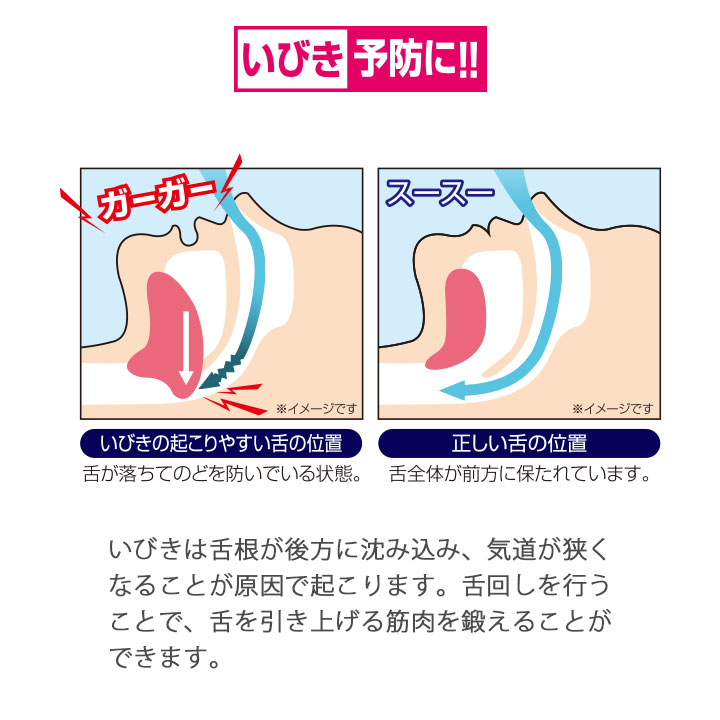 楽天市場 在庫限り 送料無料 美容 健康 舌回し小顔エクササイズ タンターン Z1515 小顔 たるみ 二重あご ほうれい線 Avivare アビバーレ