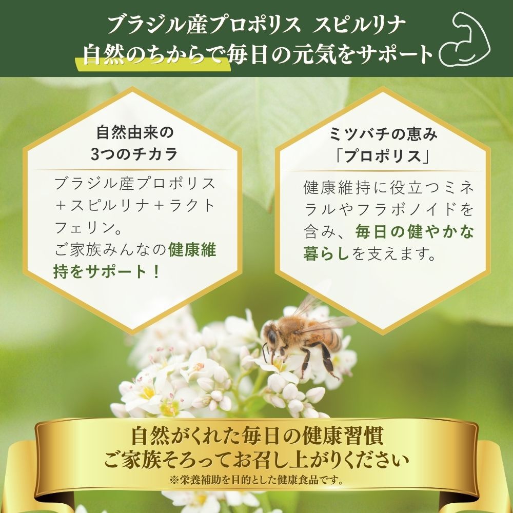 楽天市場】NEW パワーレイシチャーガEX 30包 : アベニール