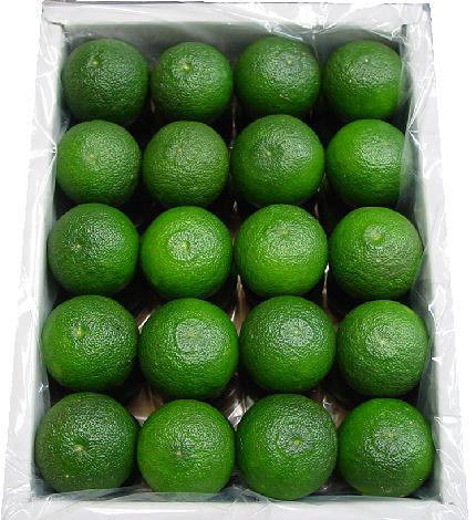 楽天市場】【送料無料】徳島県産 すだち 秀品 2L/3L〜4Lサイズ