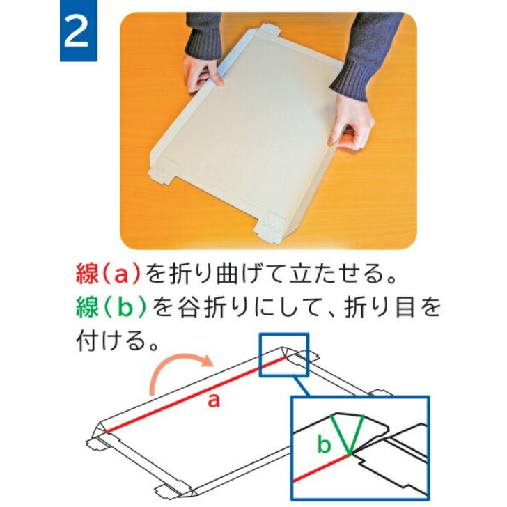 最大53％オフ！ 100枚 段ボール製配膳トレータイプB ダンボール 段ボール 配膳 トレー 配膳トレー キャンプ 使い捨て 食器 環境商品 白  ホワイト 病院 施設用 環境 ウイルス ウイルス対策 食事 感染防止 感染対策 ホテル ホテル食事 レストラン バイキング テイクアウト ...