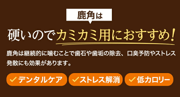 楽天市場 鹿 角 15cm 1本 犬 ガム 無添加 かみかみ 歯磨きおやつ 犬用 オモチャ 玩具 噛む デンタルケア ストレス解消 お留守番 オヤツ フード トリーツ ご褒美 しつけ 躾 トレーニング 淡路アグリファーム