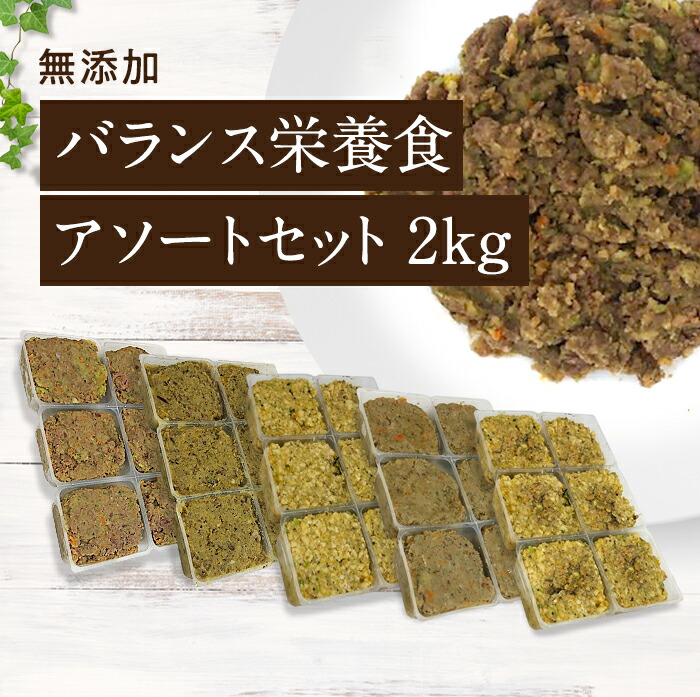 バランス栄養食 アソートセット 国産 無添加 ドッグフード シニア アレルギー グレインフリー トッピング 2kg小分けトレー 約40g 48鹿肉 鹿 犬 健康 長生き ウェットフード 犬用 ごはん 手作り 涙やけ ダイエット Bouncesociety Com