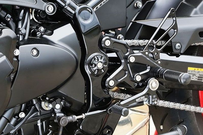 BabyFace ベビーフェイス フレームキャップ ブラック Z900RS '18