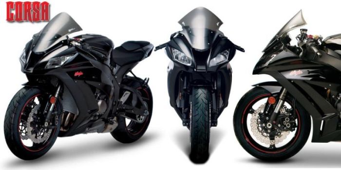 【受注生産 注文約4ヶ月】ZEROGRAVITY ゼログラビティ スクリーン コルサ スモーク ZX-10R 11-14