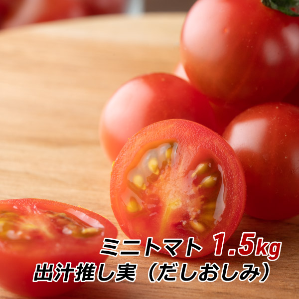 皮が薄い 旨味 甘い グルタミン酸 ビタミンC ミニトマト 出汁推し実 1.5kg 渥美半島とまとランド だしおしみ 濃厚 田原市 お取り寄せ 産地直送 送料無料