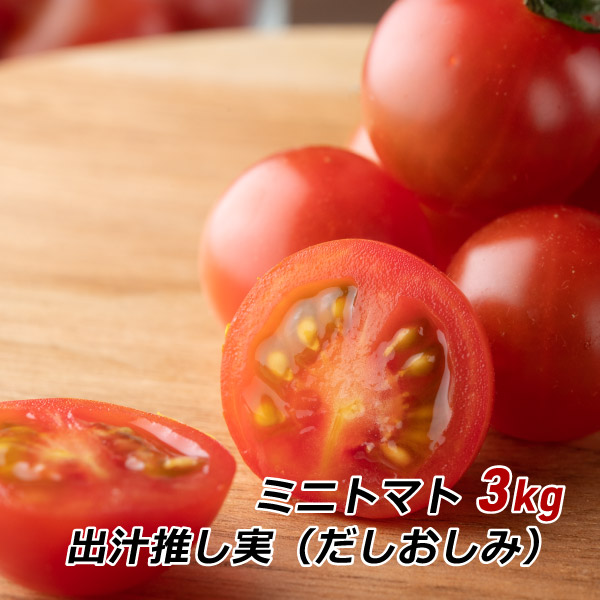 皮が薄い 旨味 甘い グルタミン酸 ビタミンC ミニトマト 出汁推し実 3kg 渥美半島とまとランド だしおしみ 濃厚 田原市 お取り寄せ 産地直送 送料無料