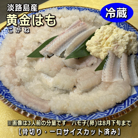 YUKI 20周年 FCファンクラブ限定 お土産 直筆サイン 美品 YUKI 20周年 FCファンクラブ限定 お土産 直筆サイン 美品