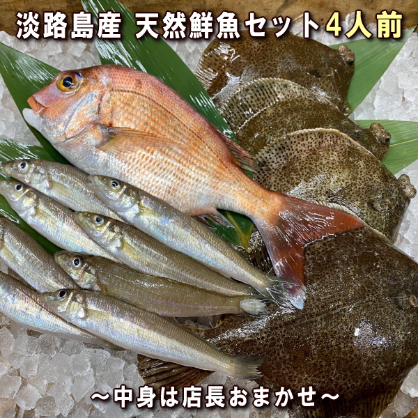 楽天市場】淡路島産天然鮮魚セット2人前 : 淡路島発！島のさかな屋 花光