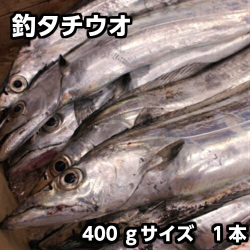 楽天市場 鮮魚 魚類 丸ハゲ 淡路島発 島のさかな屋 花光