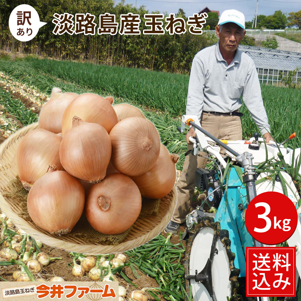 【楽天市場】【送料無料】淡路島玉ねぎ 3キロ[Sサイズ～2Lサイズお任せ]＃訳ありたまねぎ3kg【購入特典】 たまねぎ 玉葱 玉ねぎ：淡路島