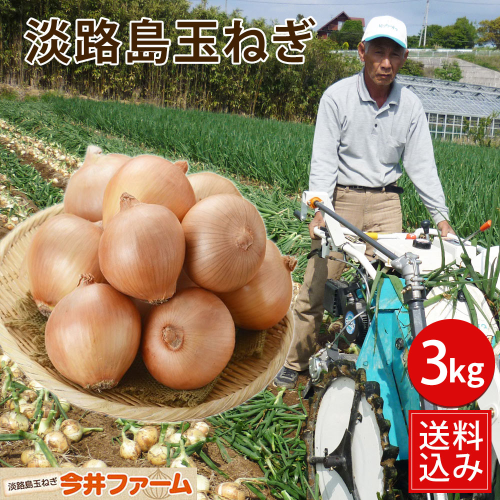 たまねぎ 玄米ちっぷす 玉ねぎ(袋)｜中央軒煎餅公式通販