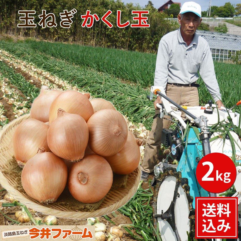 【楽天市場】【送料無料】淡路島たまねぎかくし玉＃かくし玉2K＃ 淡路島 玉ねぎ 玉葱 たまねぎ 玉葱 たまねぎ 玉葱 玉ねぎ：淡路島たまねぎ